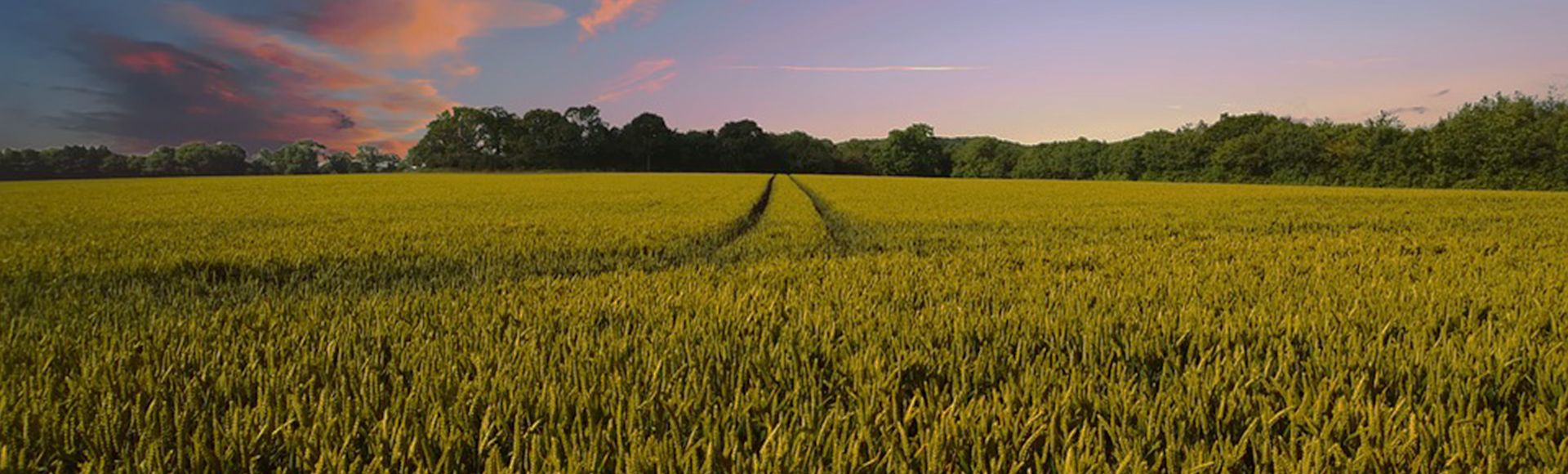 Agricoach une application pour gérer son exploitation agricole